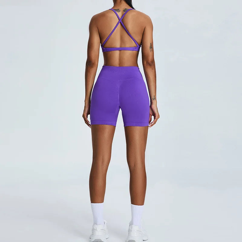 Seamless 2 Piece Sports Set Women