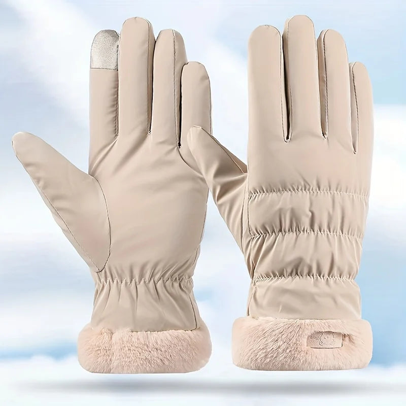 Winter Gloves